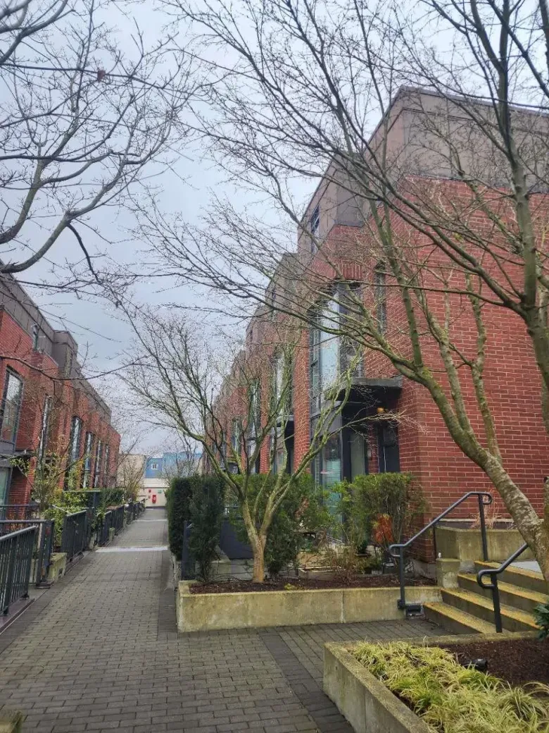217 1961 COLLINGWOOD STREET image #1