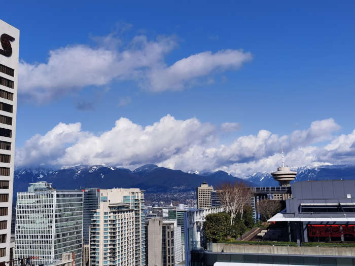 Telus Garden view